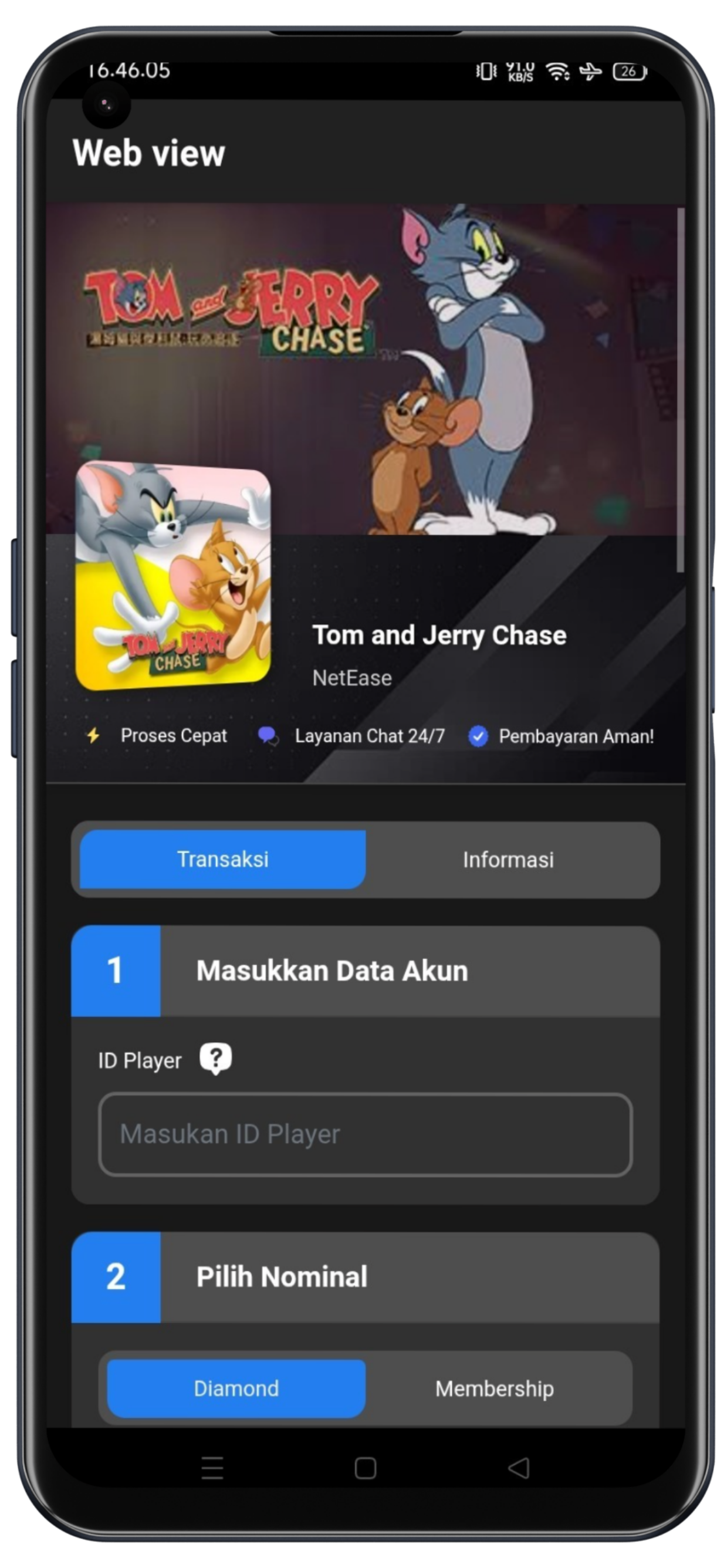 Tom and Jerry Chase
